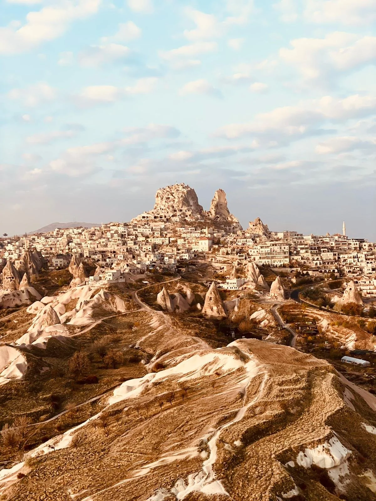 Wild horses in Cappadocia